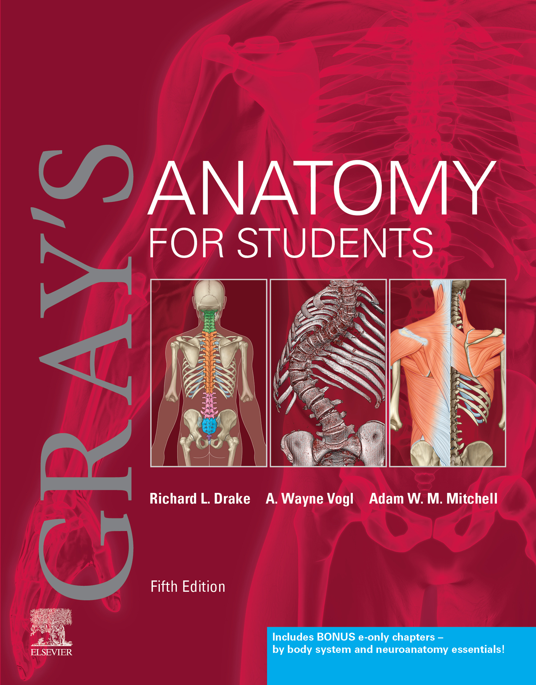 Gray's Anatomy for Students E-Book