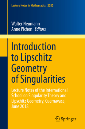 Introduction to Lipschitz Geometry of Singularities