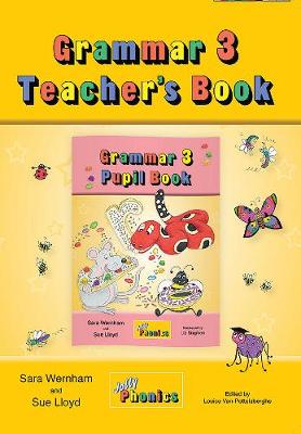 Grammar 3 Teacher's Book: In Precursive Letters (British English edition)