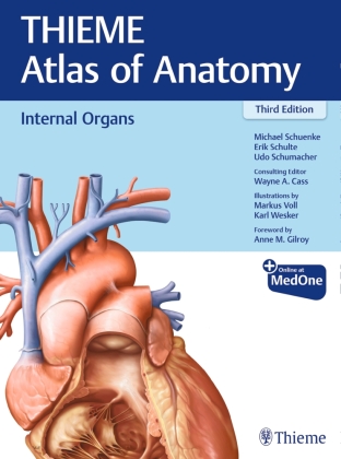 Internal Organs Cover