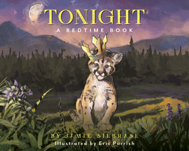 Tonight: A Bedtime Book
