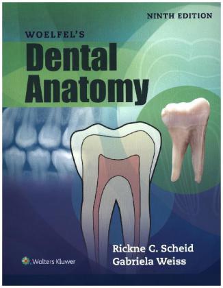 Woelfels Dental Anatomy Cover