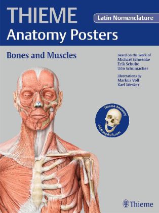 Thieme Anatomy Poster, Latin Nomenclature