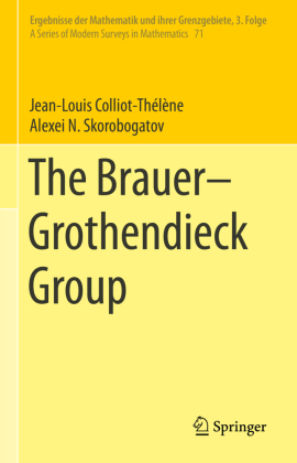 The Brauer-Grothendieck Group