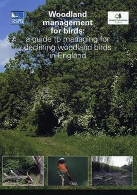 Woodland Management for Birds: A Guide to Managing for Declining Woodland Birds in England