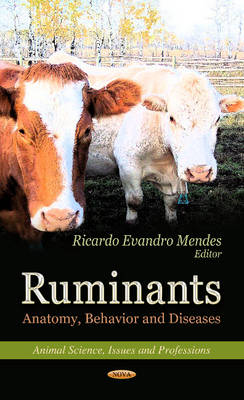 Ruminants: Anatomy, Behavior & Diseases