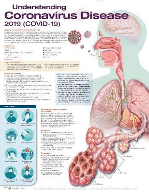 Understanding Coronavirus Disease 2019 (COVID-19)