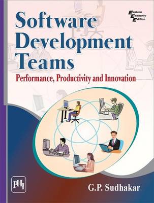 Software Development Teams: Performance, Productivity and Innovation