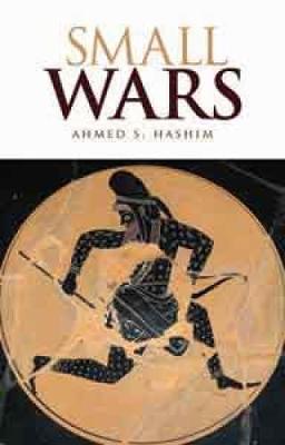 Small Wars: An Interpretive Analysis of Theory and Practice