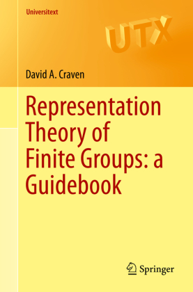 Representation Theory of Finite Groups: a Guidebook