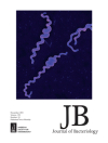 Journal of Bacteriology