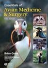 Wiley e-book - Essentials of Avian Medicine and Surgery 3e
